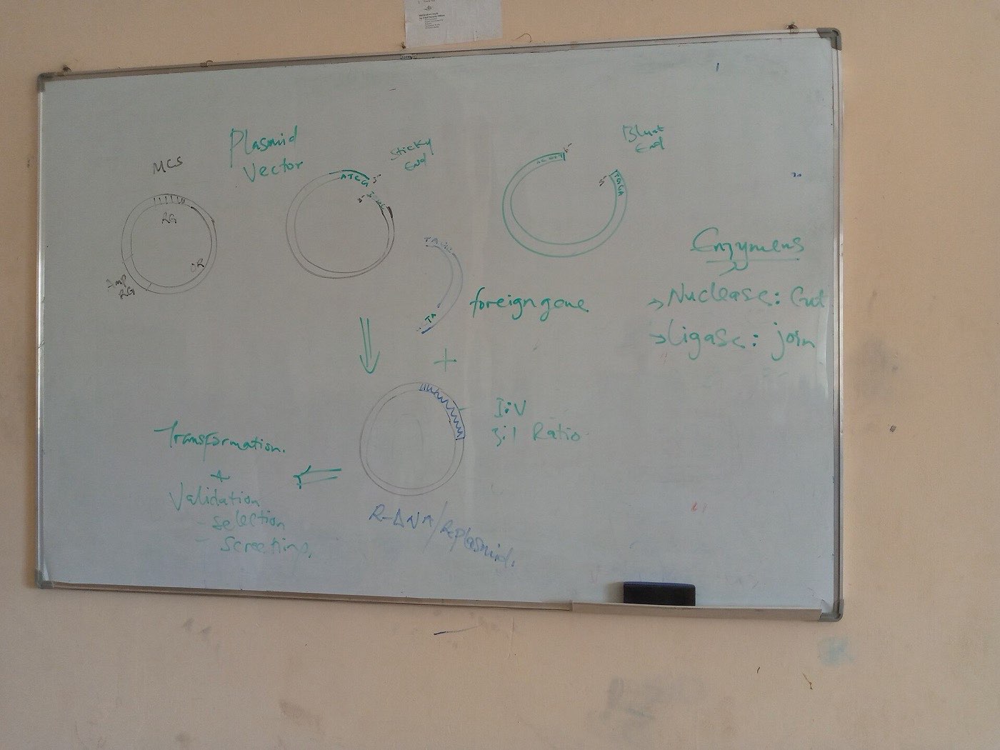 En whiteboard med anteckningar